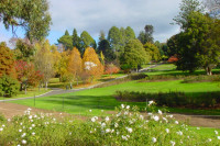 Botanical Gardens