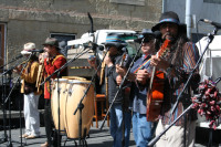 Salamanca Markets